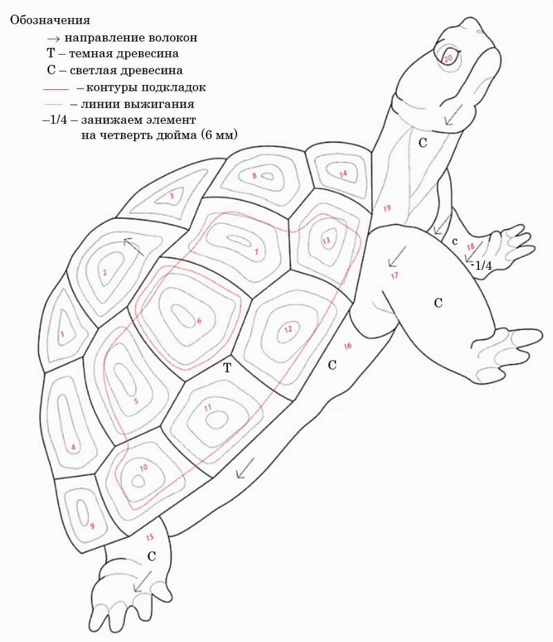 Схема черепахи в технике интарсия из дерева для выпиливания.