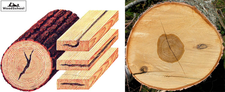 метиковые трещины древесины